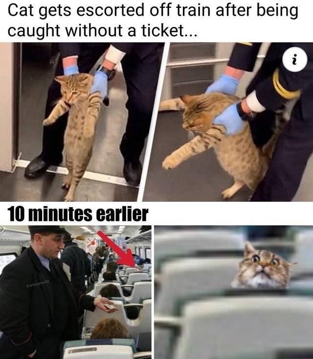 50FDF961-C1FA-4476-8DE2-AEB1F7A0A022.jpeg