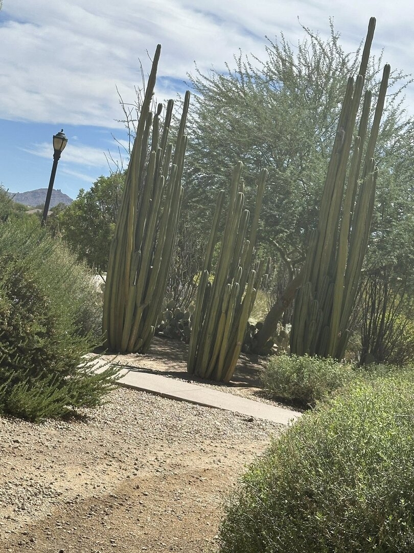 523942873_10162537538713961_1890045626559115226_n.jpg