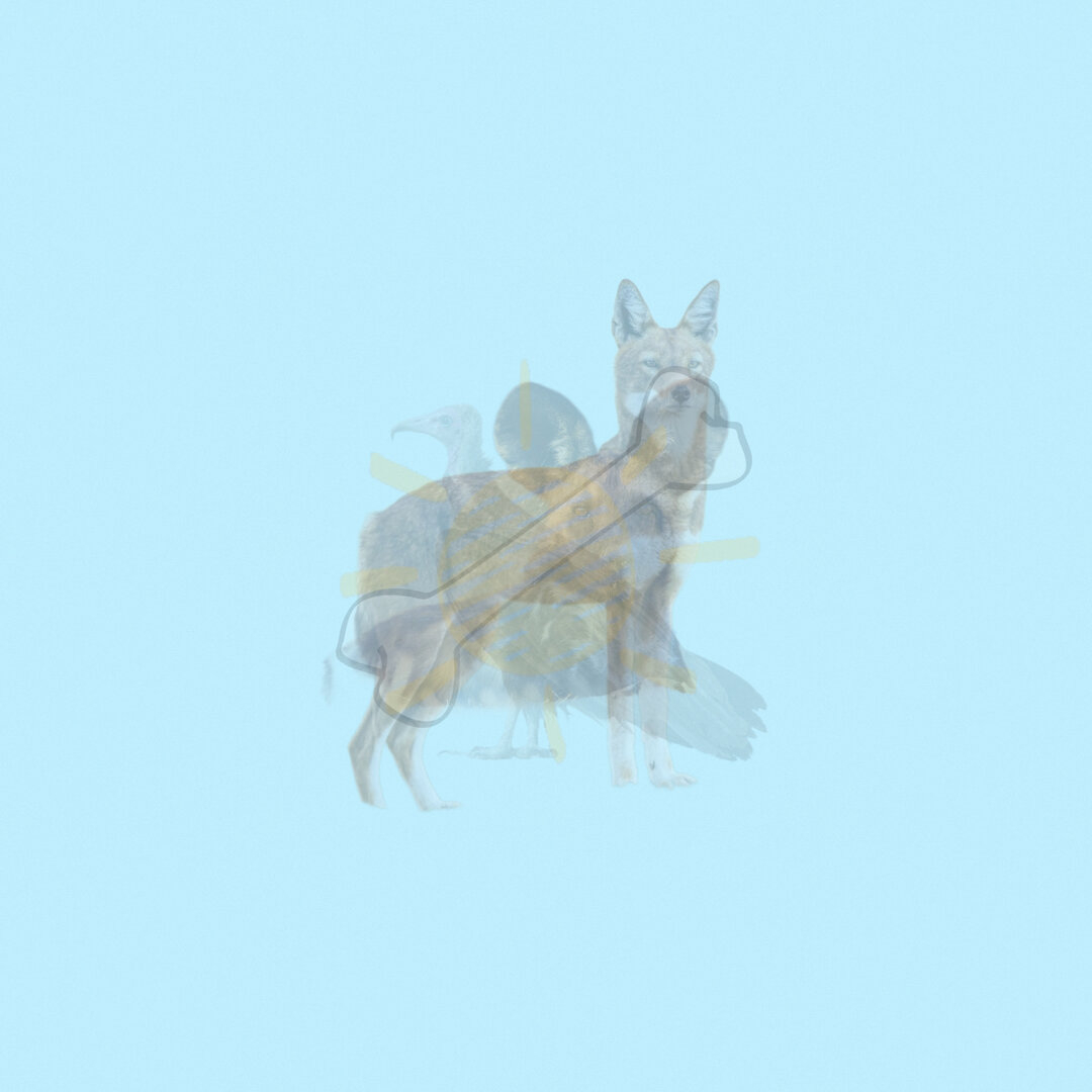 52D6C654-9305-41FA-90DF-BF117F39ECAA.jpeg