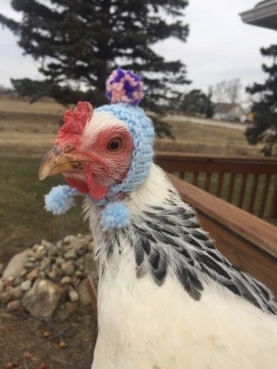 5307D0E9-1F05-4B73-8F17-BD2F10520892.jpeg