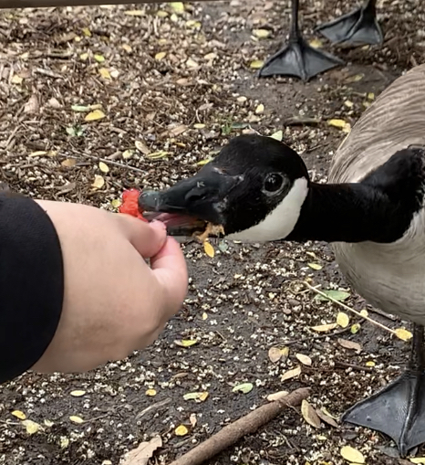 5367EEF3-B092-437D-8752-A26D65496D96.jpeg