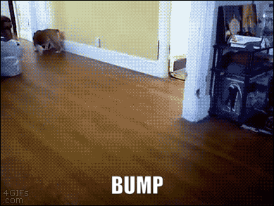 559109_ezgif.com-add-text.gif