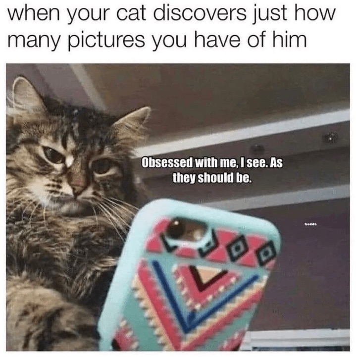 58E255B9-1965-464C-B883-F821FB97579B.jpeg