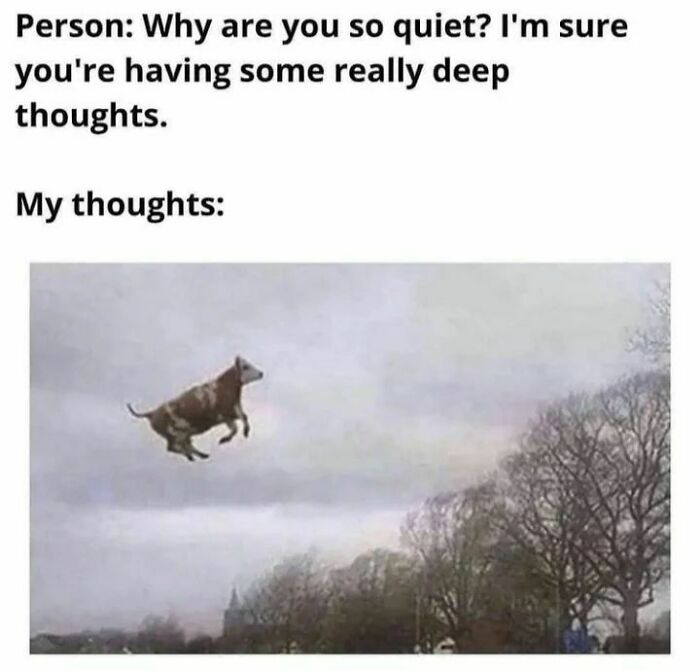 593BA3C0-5EB9-47C4-9854-572239916D3A.png