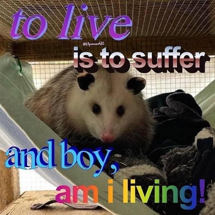 5C071E33-3176-4171-9BF8-D1A9030E94E5.jpeg