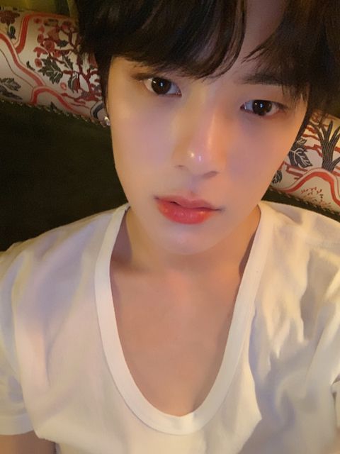 13092