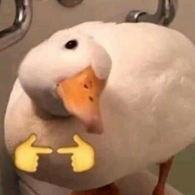 62482.jpg