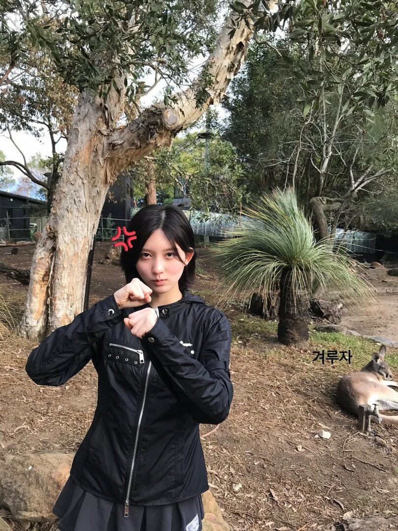 6612.jpg