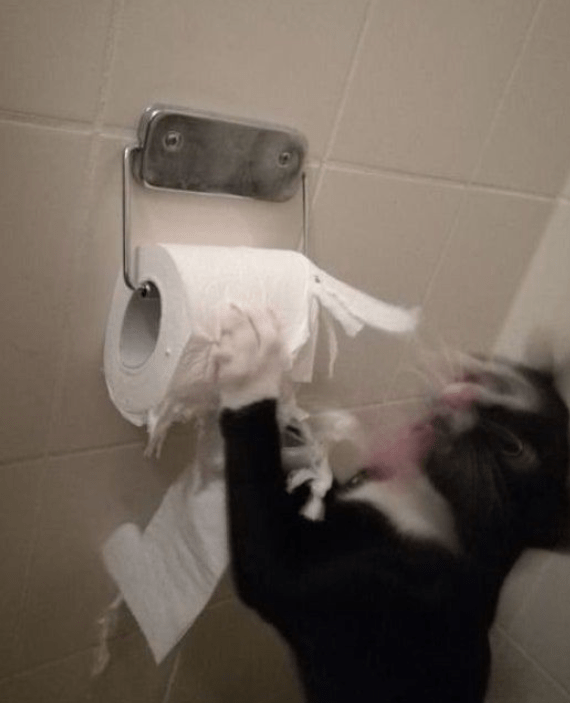 67DA93DD-ADAA-4B2D-ADCB-1A5E1261BCEC.png