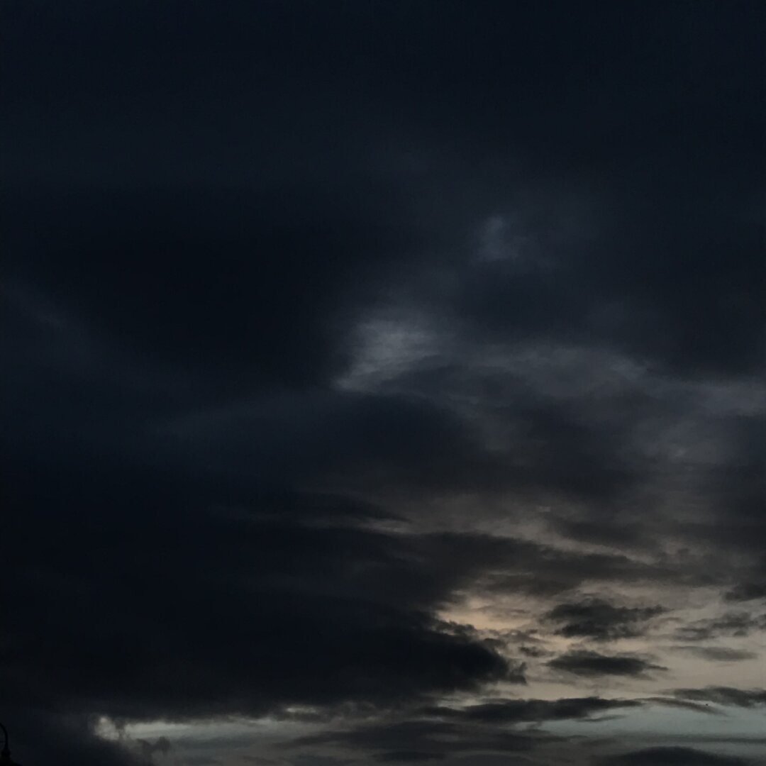 69049D43-9EDA-4A50-99DD-405FCF37D6D2.jpeg