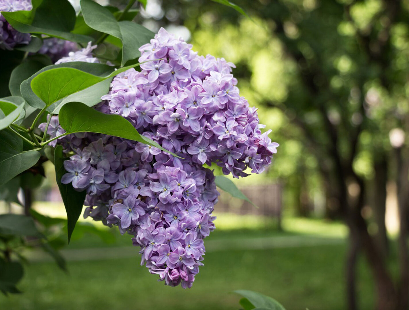 6A7BB03E-4130-4105-AC65-C742436959D2.jpeg