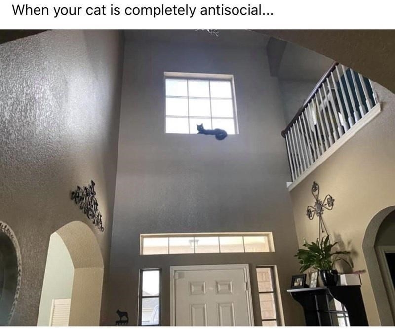 6AC06422-29CE-4771-8E5E-01DBAD23D35F.jpeg