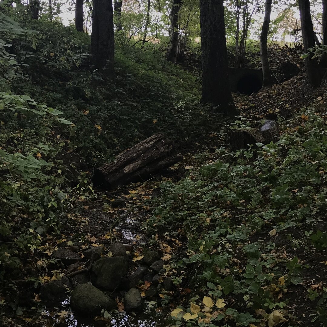 6C0B051C-5261-4D38-87DC-B5403C1DCB72.jpeg