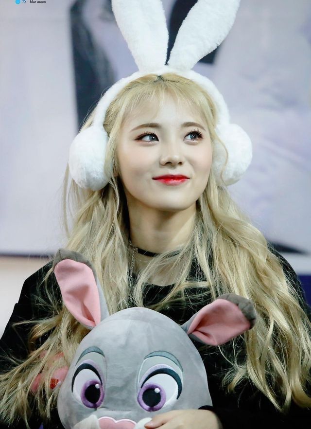 11834