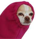 711_1554091404m.png