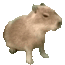 732DA4F7-4BD3-41A2-9855-89775EC5D5E9.gif