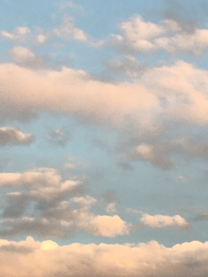 7427805F-41D4-4077-8807-71E1D8A3377E.jpeg