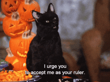 76C55FE7-D25A-45D7-98B9-1E5248387EA4.gif