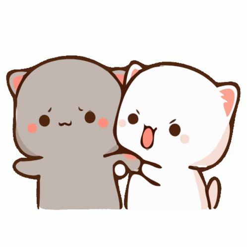 7AB90196-48E1-4C0F-BC5F-979EA8B3AA0F.gif