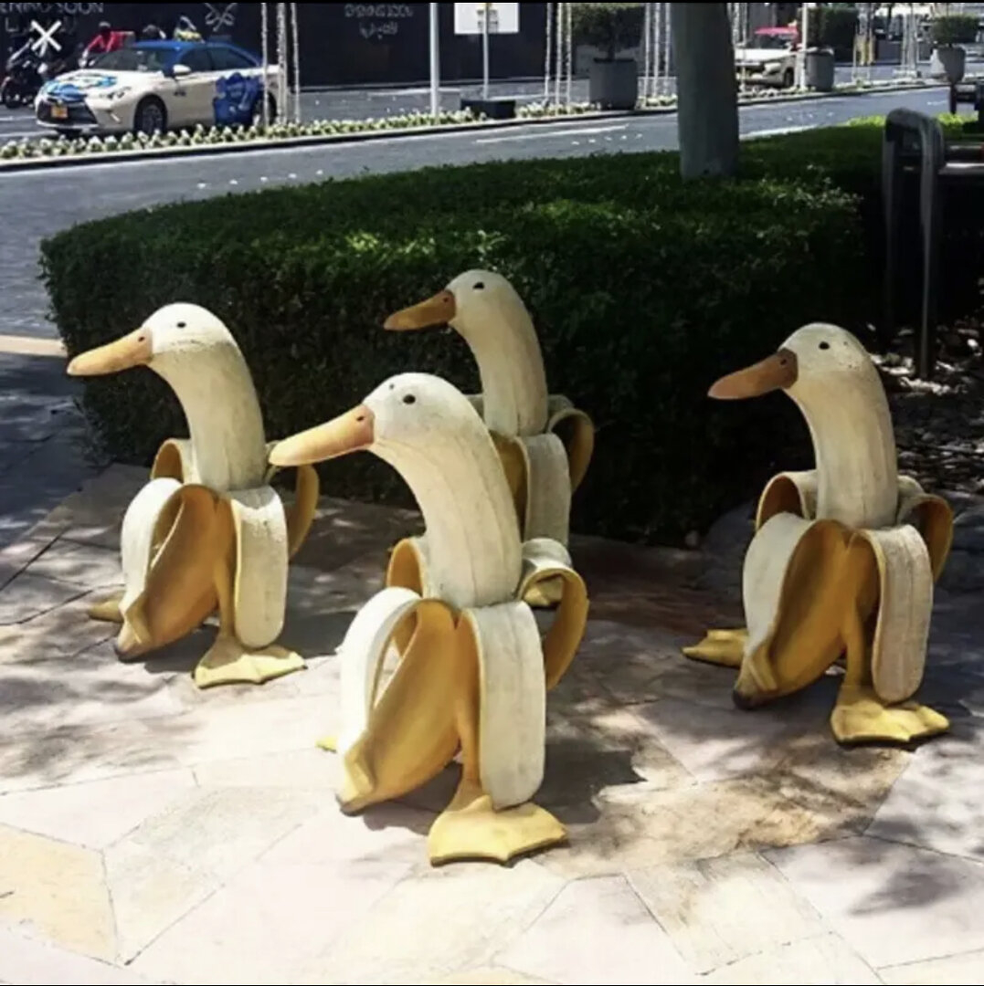 7CB781F0-A63C-44DD-8C5F-4170C0001A5B.jpeg