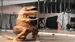 7CCCD473-BA45-4C33-AF50-517F32F24A0F.gif