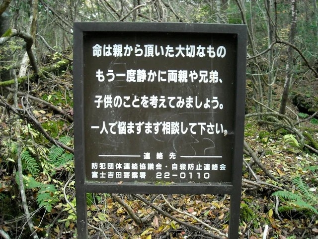 7mwkzon6aq701.jpg