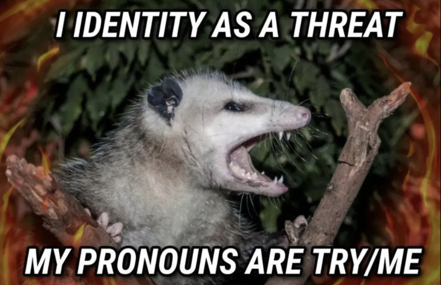 8073583C-F5AF-4139-B33B-A41325D2C853.jpeg
