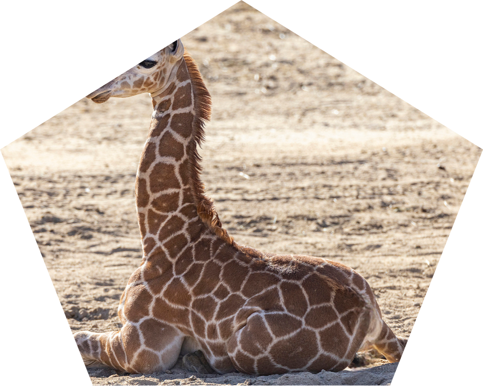 81D16510-BE5F-429D-9105-7A38A1914D33.png