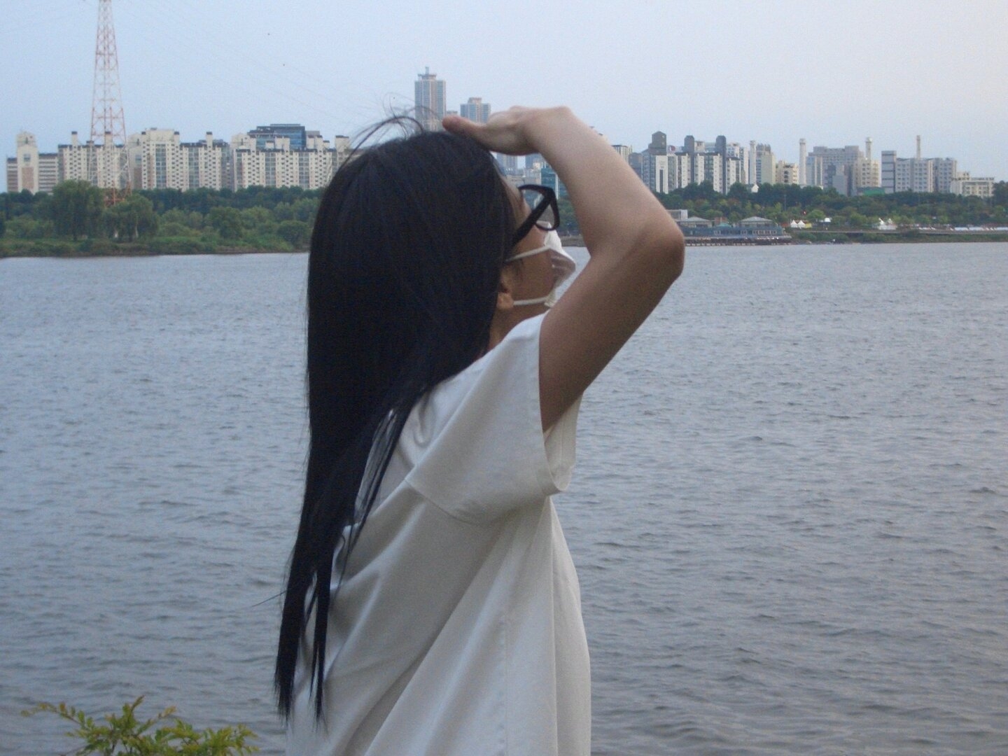 8325.jpg