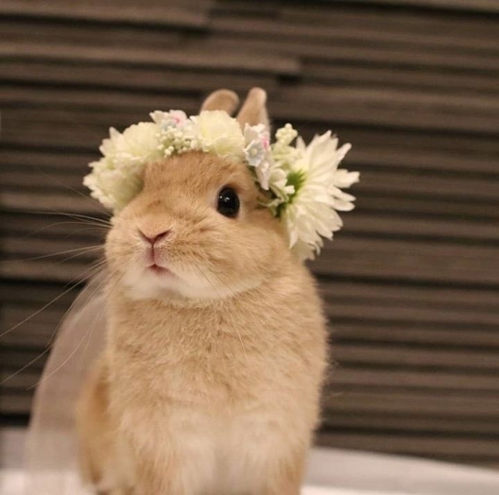 832CB5AD-CF6E-49EE-963E-1A4B765C737A.jpeg