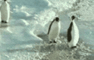 841C42FA-701E-4CA6-BCFB-9A85689FFECC.gif