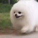863116868532174888.gif