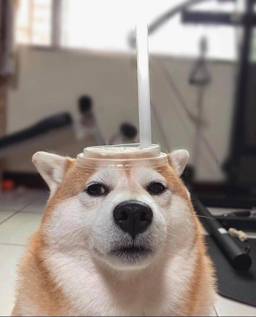 8692CF71-0B0C-4D89-B26D-D7E6E3717BF1.jpeg