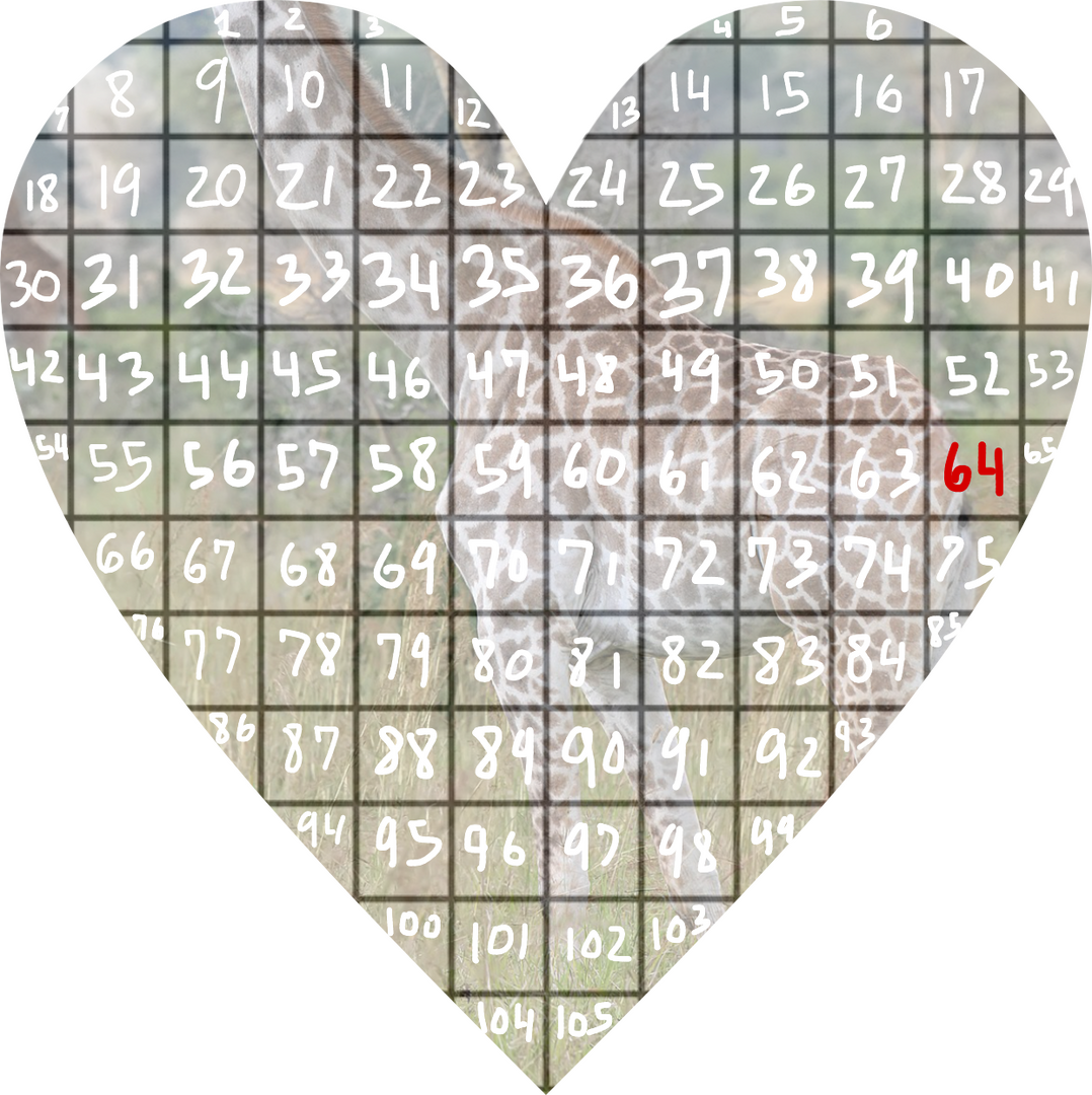 8B3CCFF8-4C34-4CE5-92E5-45EDC8AC7FDC.png