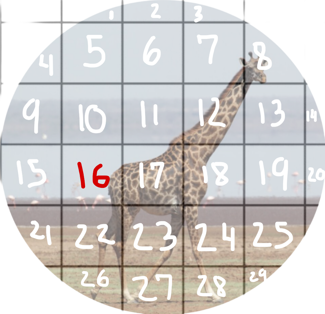 8D07B488-1356-4448-9E2C-6E00B73F8889.png
