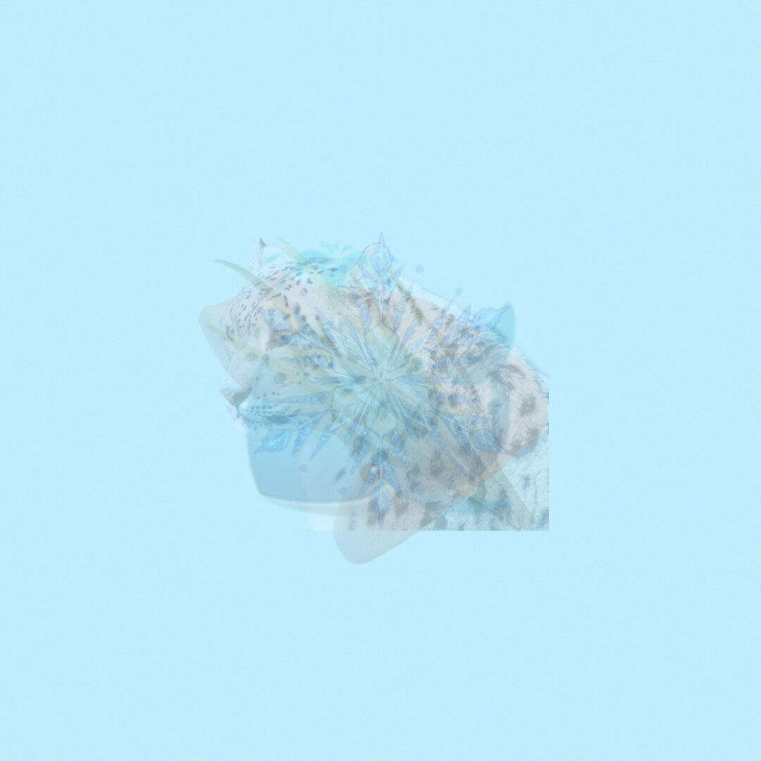 8D96BC46-8E4E-4595-B4A5-B6B32C6AA46E.jpeg