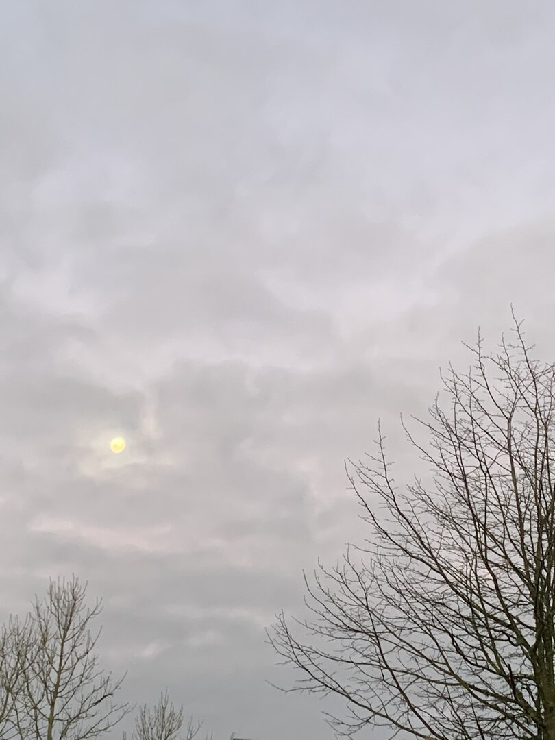 908B1262-6C5A-4E55-A0A0-92B8FE8B4429.jpeg