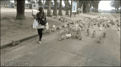 964F5221-628F-4A44-81F4-10DF9F941DA3.gif