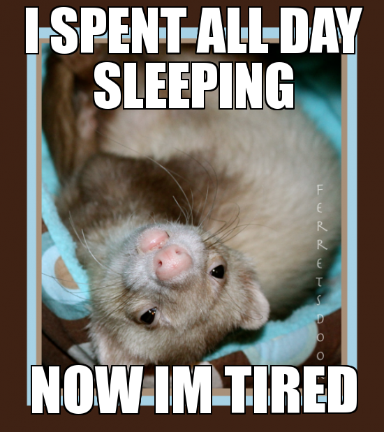 971e361272ac539a1c904ebe907793cc.png
