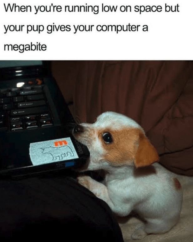 9AC81E00-4D1E-41D9-AB36-97A2827FF62A.png
