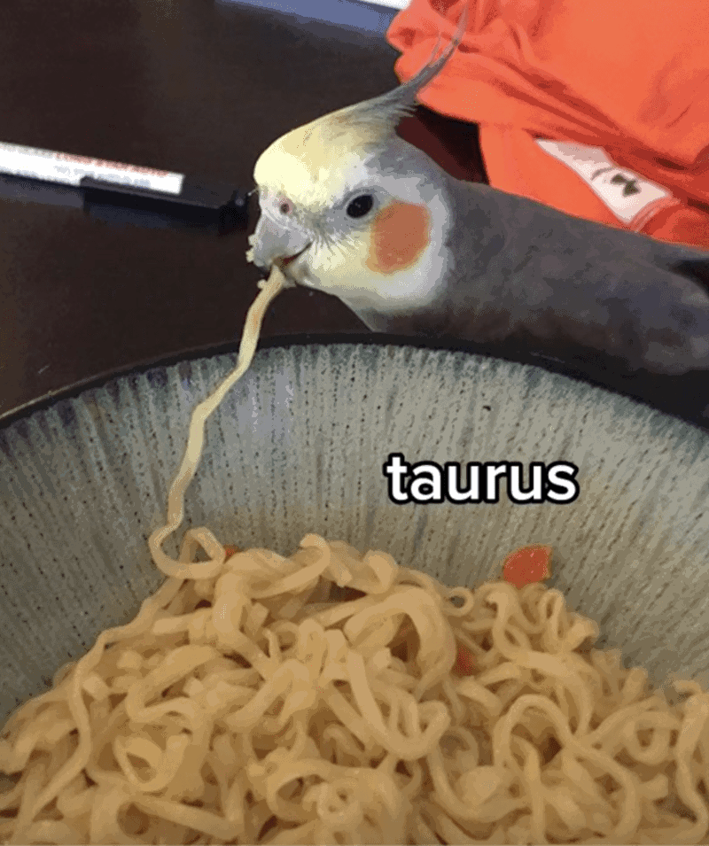 9B0ECF8C-BDF8-4D80-B008-0668B223F143.png