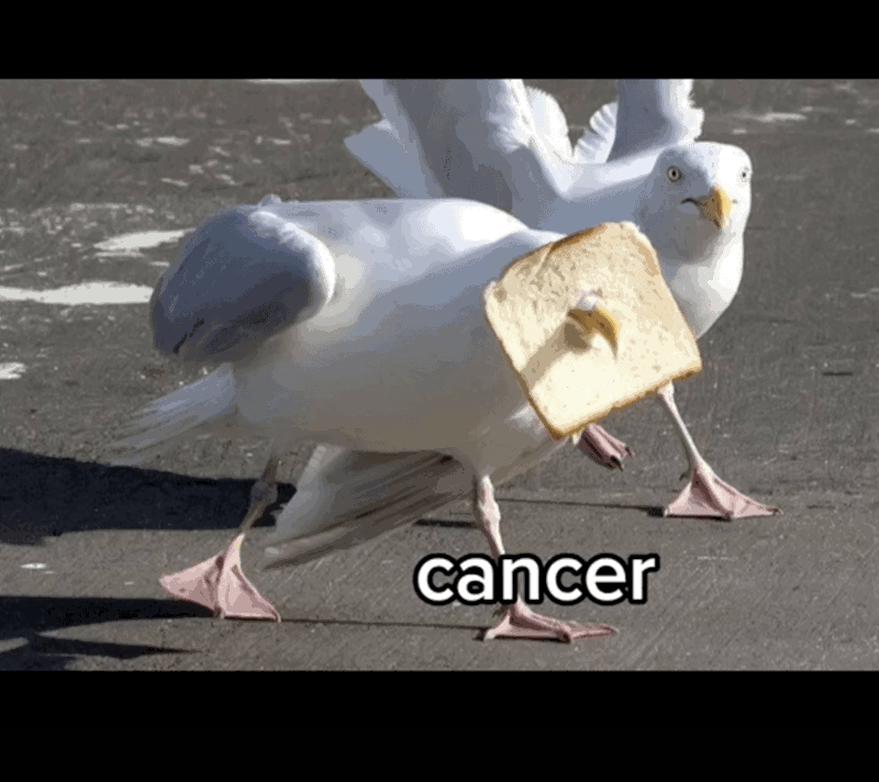 9C3234B1-1BE3-432A-92E6-B2455C005053.png