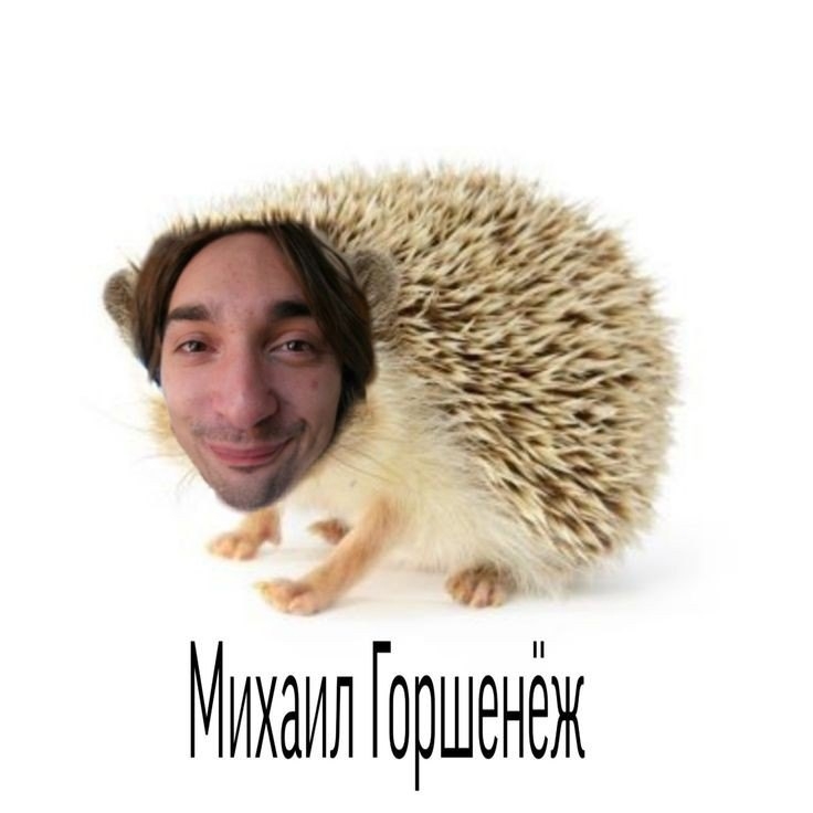 9HFvIg80xQo.jpg