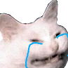 _.png