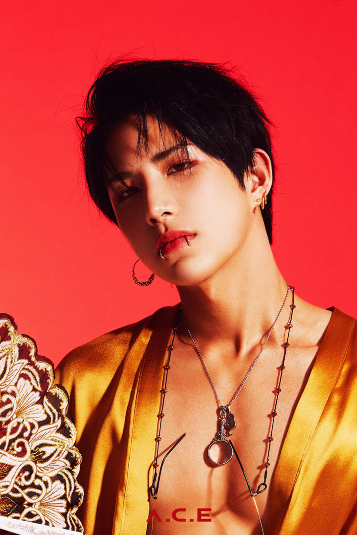 A.C.E_Wow_HZJM_The_Butterfly_Phantasy_concept_photo_(9).png