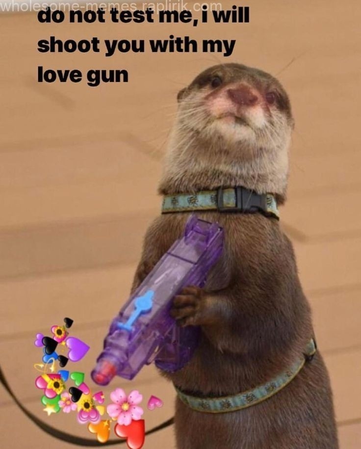 a4eb7eacdcb53d0b8b1c81eb9eadf429.jpg