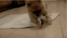 a7d2006d-2d6d-4155-941f-2dda8c5d9f53.gif