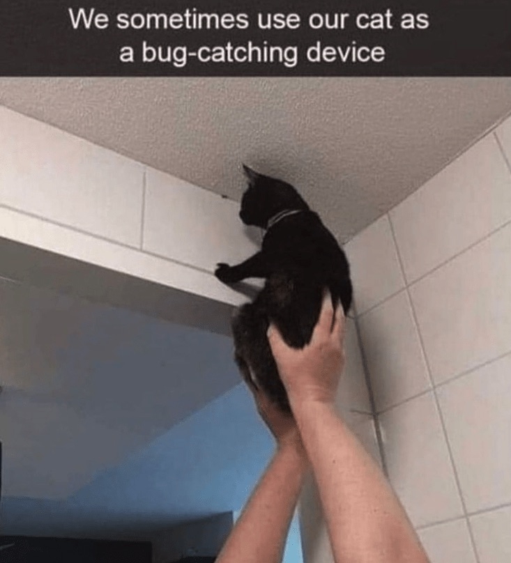 A86F9933-DEA3-4859-A5B4-ED418F3FDA78.jpeg