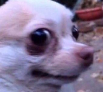 11709