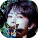 ace.png